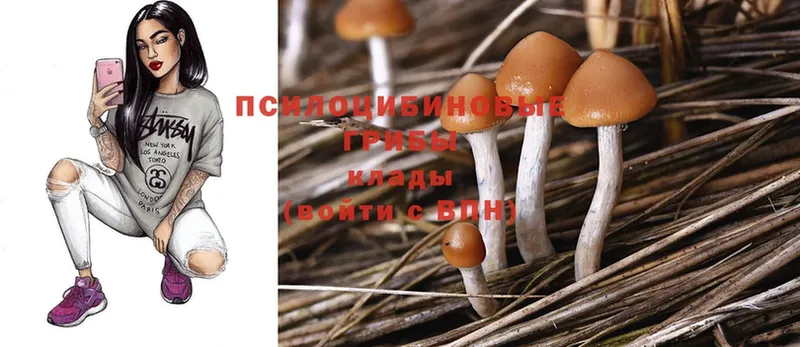 Галлюциногенные грибы Cubensis  blacksprut маркетплейс  Кандалакша 